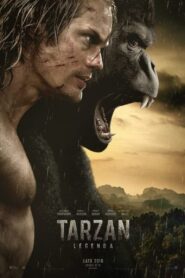 Tarzan: Legenda CDA PL