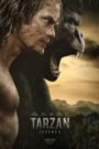 Tarzan: Legenda CDA PL