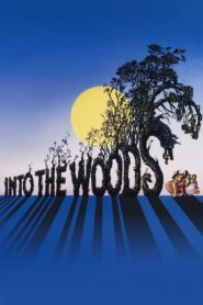 Oglądaj film Into the Woods PL