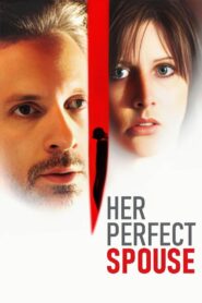 Oglądaj film The Perfect Husband PL