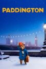 Paddington vizjer PL