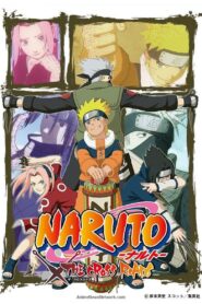 NARUTO -ナルト- THE CROSS ROADS LEKTOR PL