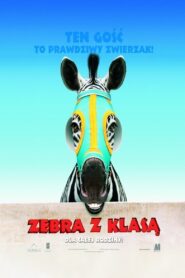 Zebra z klasą CDA PL