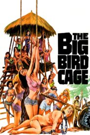 The Big Bird Cage LEKTOR PL