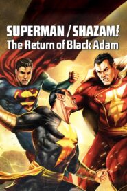 DC Showcase: Superman/Shazam!: The Return of Black Adam CDA PL