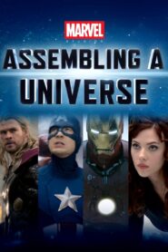 Marvel Studios: Assembling a Universe CDA PL