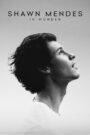 Shawn Mendes: In Wonder CDA PL