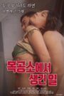 목공소에서 생긴 일 CDA PL