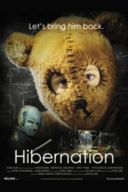 Hibernation CDA PL