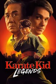 Karate Kid: Legends CDA PL