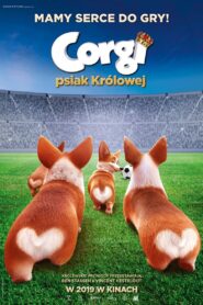 Corgi, psiak królowej CDA PL