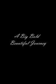 A Big Bold Beautiful Journey CDA PL