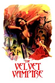 The Velvet Vampire LEKTOR PL