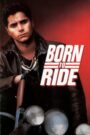 Born to Ride LEKTOR PL