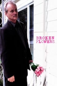 Broken Flowers CDA PL