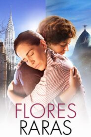 Flores Raras LEKTOR PL