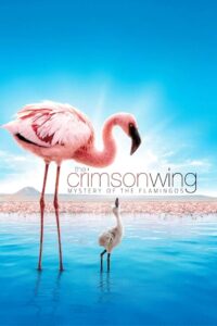 The Crimson Wing: Mystery of the Flamingos LEKTOR PL