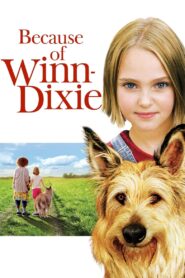 Dzięki tobie, Winn-Dixie CDA PL