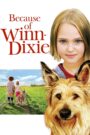 Dzięki tobie, Winn-Dixie CDA PL