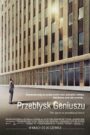 Przebłysk Geniuszu CDA PL