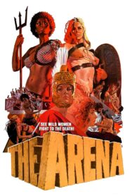 The Arena LEKTOR PL