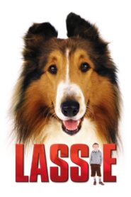 Lassie CDA PL