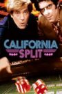 California Split LEKTOR PL