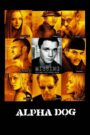 Alpha Dog CDA PL