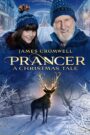 Prancer: A Christmas Tale CDA PL