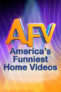 America’s Funniest Home Videos CDA