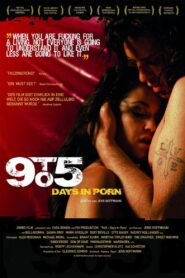 9to5: Days in Porn CDA PL