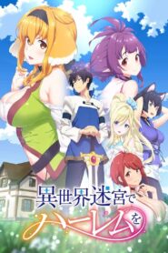 Oglądaj Isekai Meikyuu de Harem wo CDA