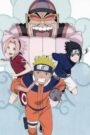 劇場版 NARUTO -ナルト- そよかぜ伝 ナルトと魔神と3つのお願いだってばよ！！ CDA PL