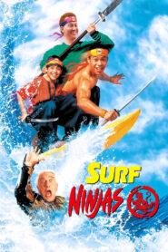 Surf Ninjas CDA PL