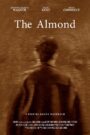 The Almond CDA PL