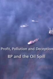 Profit, Pollution and Deception – BP and the Oil Spill CDA PL