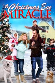 A Christmas Eve Miracle CDA PL